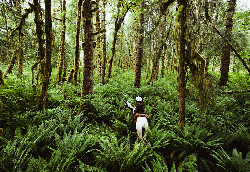 sarah-cruse-returns-to-the-helm-of-clayoquot-wilderness-lodge
